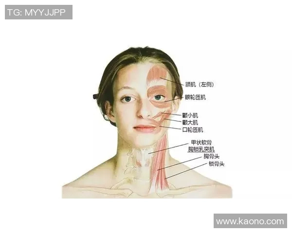 足球明星肌肉对比高清图解剖各大球星的力量与技巧之美