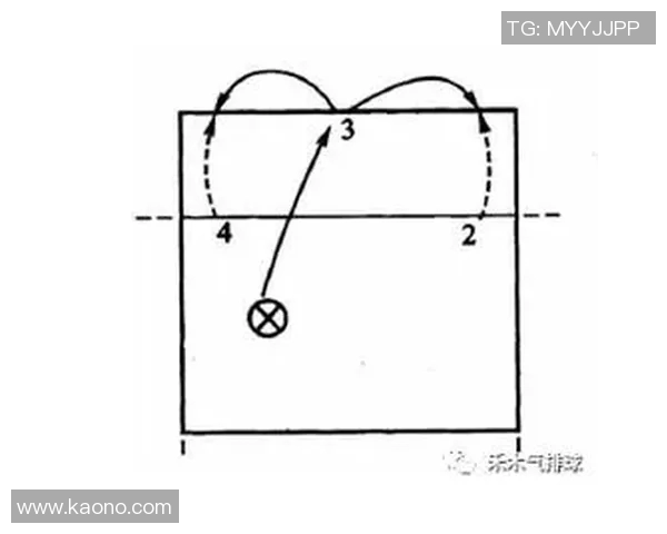 重庆排球队战术表现深度分析与数据解读探讨